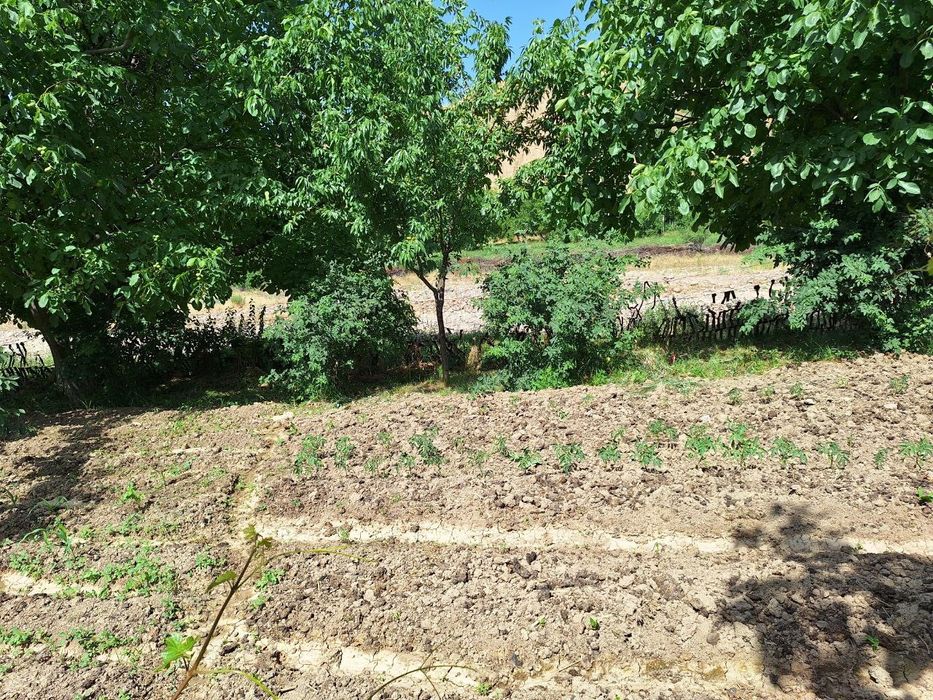 Oqtoshda 6sotix yer maydoni sotiladi.Gorbatiy mostdan 1.5km