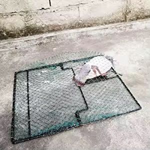 Большие Капканы ловушки для птиц