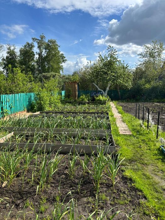 Продам дачу обществе Горизонт