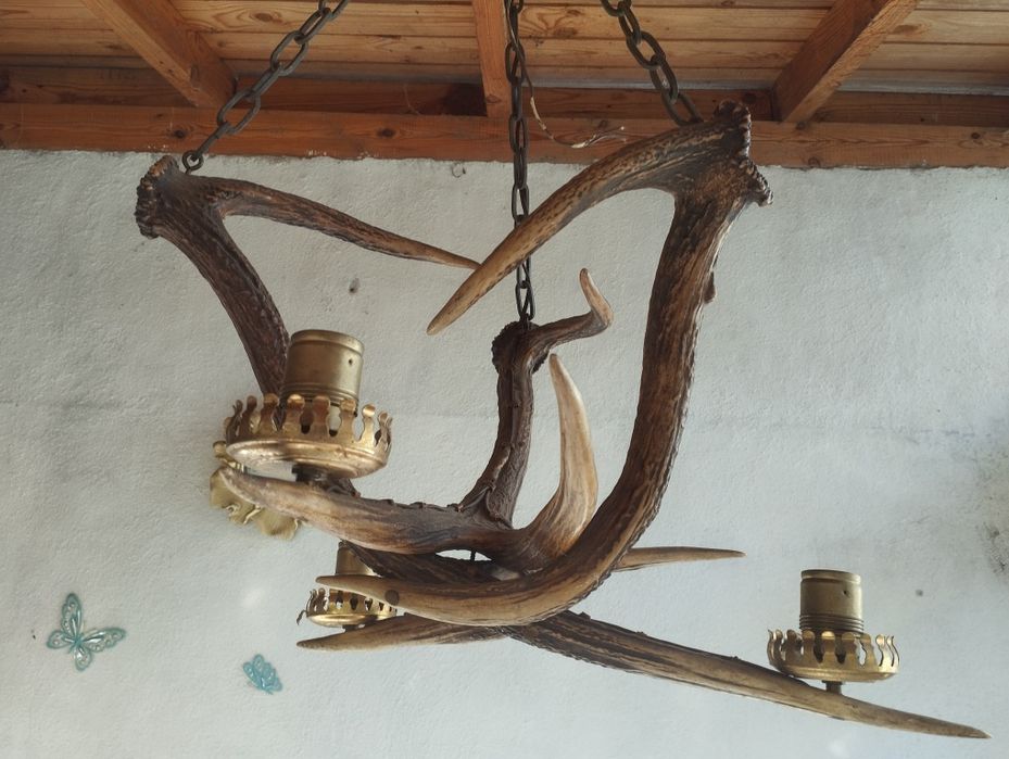 Стар полилей от 3 еленови рога