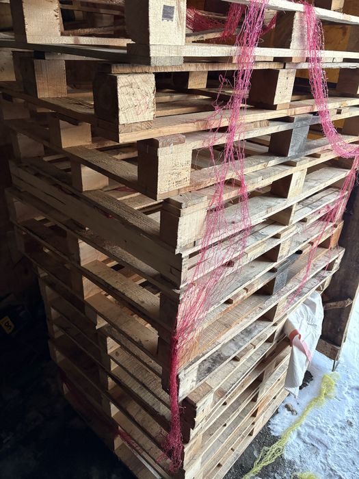 Продам поддоныдон , свежии