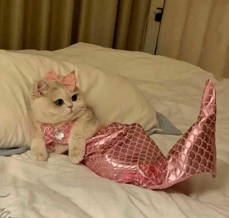 Костюм купальник русалки для кошек