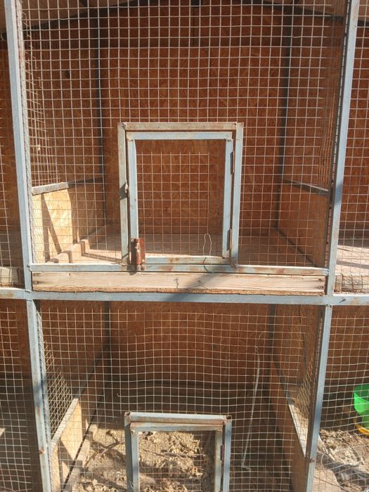 6 ta katakli qafas zootovar