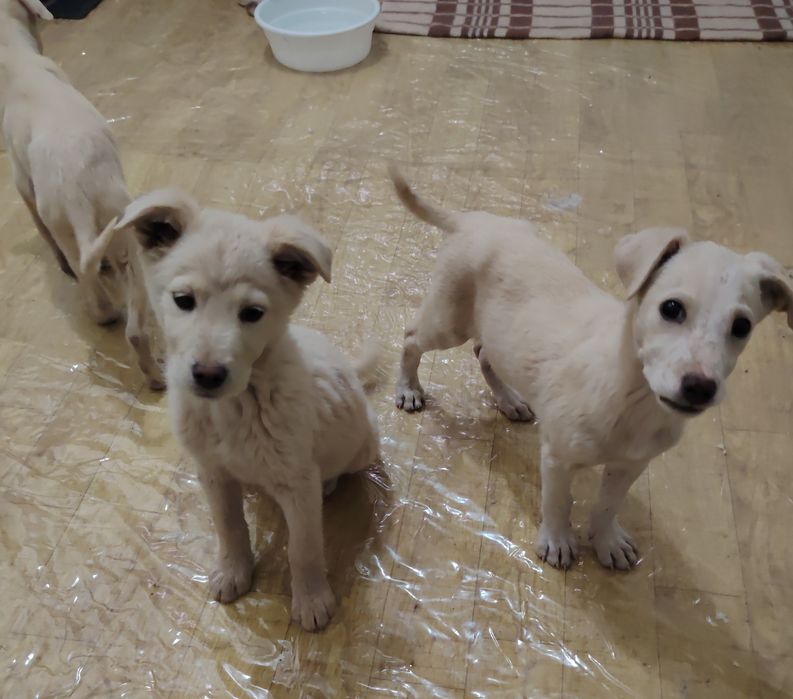 Малыши ждут своих родителей