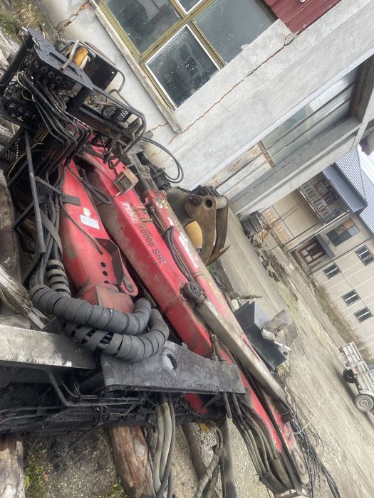 Macara penz 10.000 shl forestiera