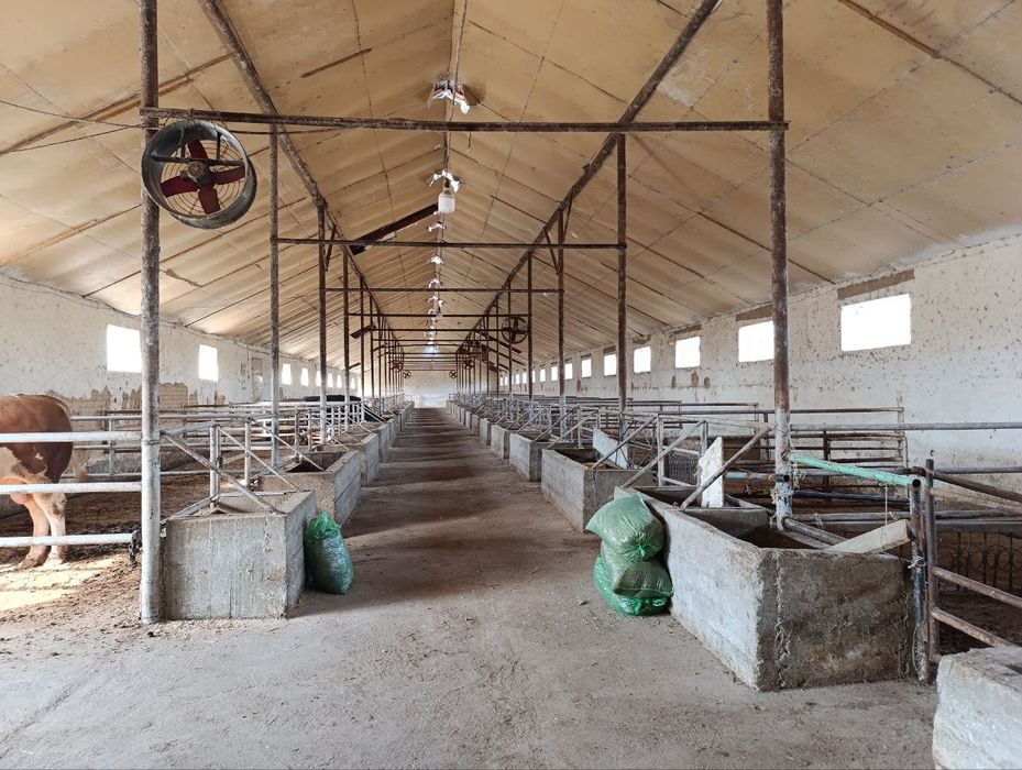 Янги У́збекистон срочно 10 сот не жилой