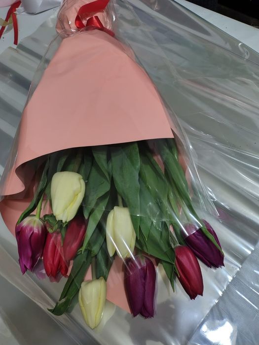 Тюльпаны красивые