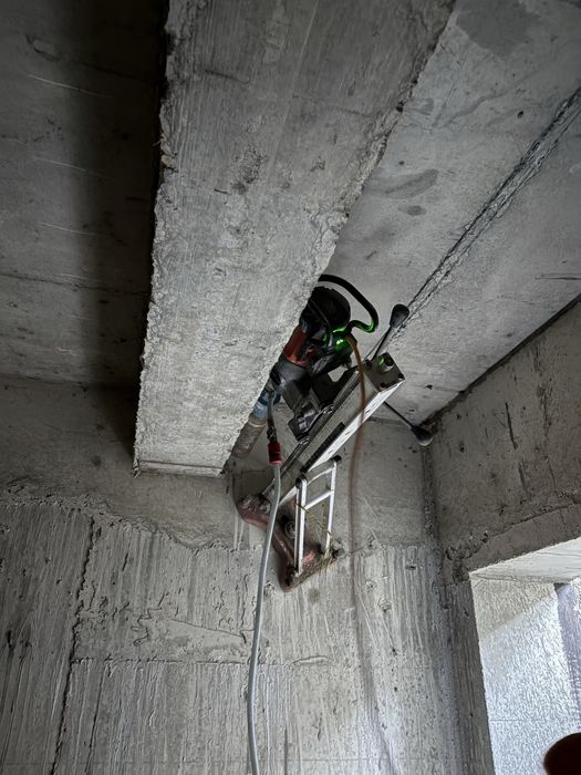 Carota carotat gauri