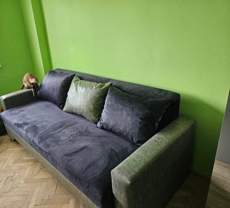 Canapea extensibila 1000lei