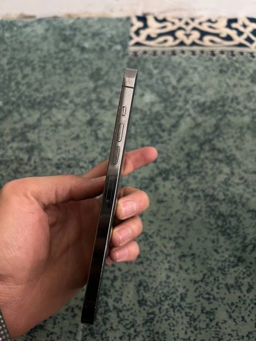 Iphone 13 pro max ideal