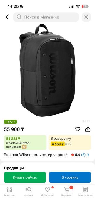 Рюкзак Wilson Noir Tour