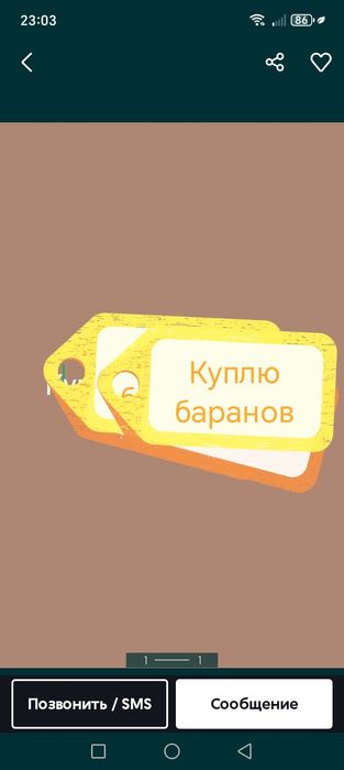 Баранов, токты, қойларды козылармен.