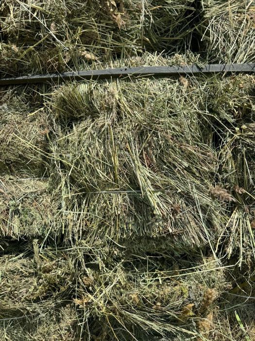 Продам сено тюкованное