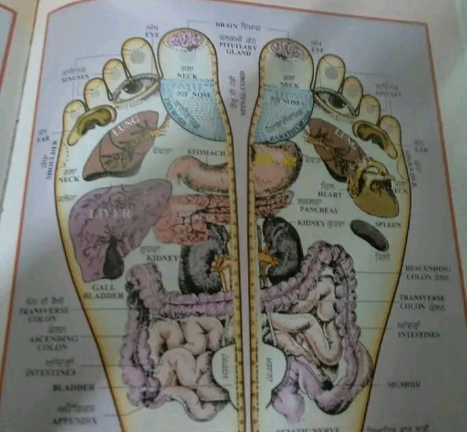 Точечный, массаж 2,5час _15000т.