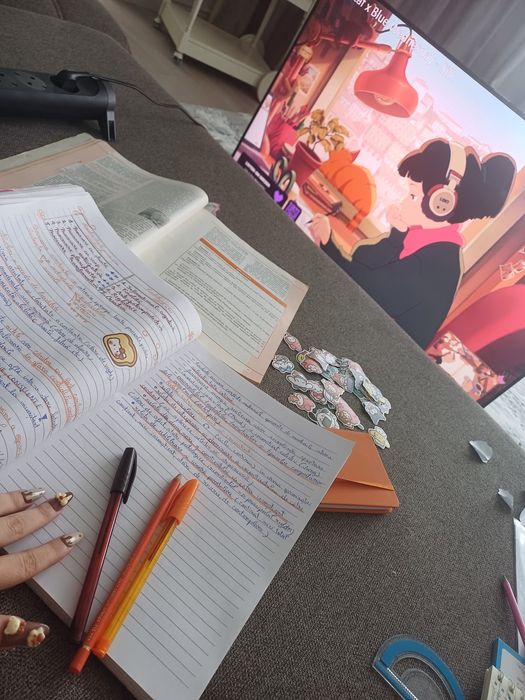 Meditatii Psihologie (BAC, Admitere)