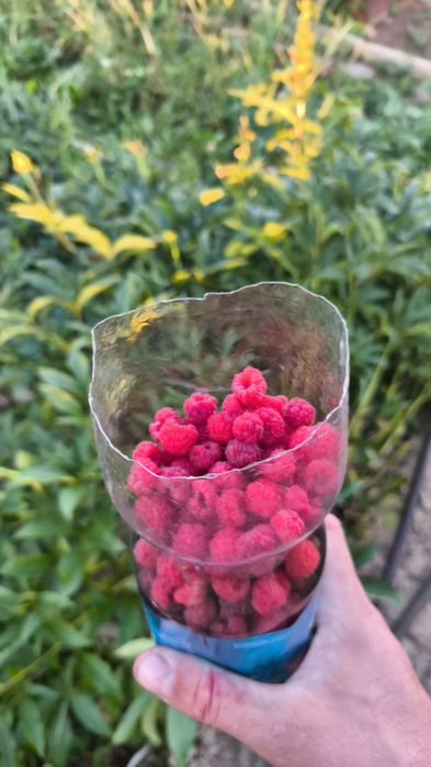 Продам дачу Темерязево