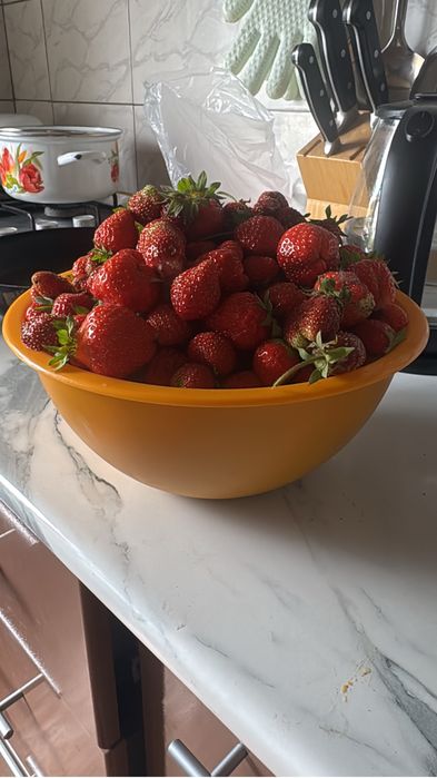 Продам дачу сообщество «Борки»