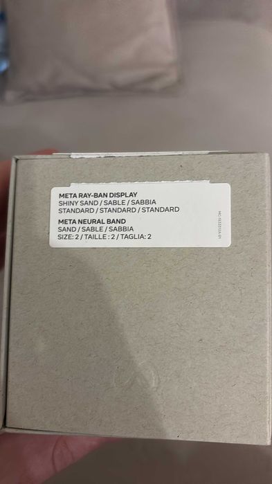 Ray Ban Meta Display