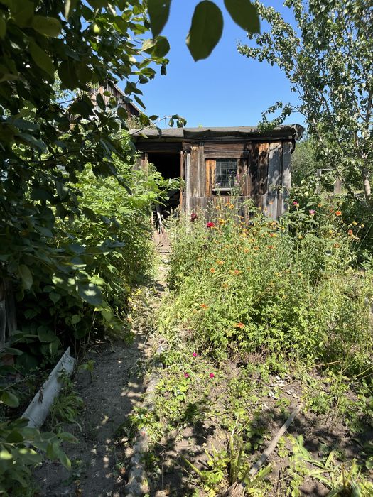 Продам дачу (НЕ В ГОРОДЕ)