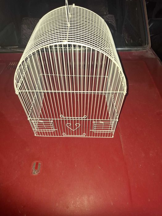 Пподам клетку для