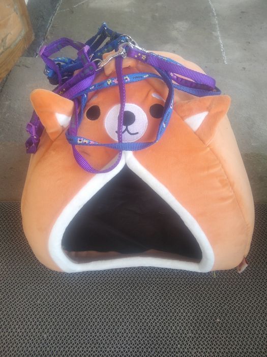 Аксессуары для кошек