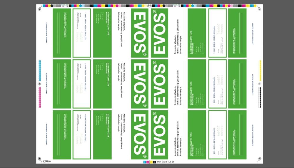 Flayer va poligrafiya xizmatlari