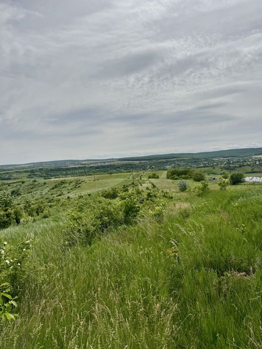 Teren 11.165 mp zona Pacea (lângă Combustibilul/Castillio) – 3400 mp intravilan, utilități la limita de proprietate(gaz,apa,curent electric),13.5 e/mp
