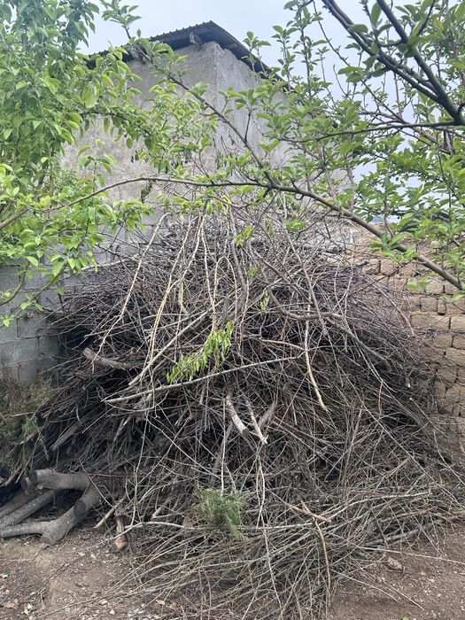 Ағаш отын көмір ағаш