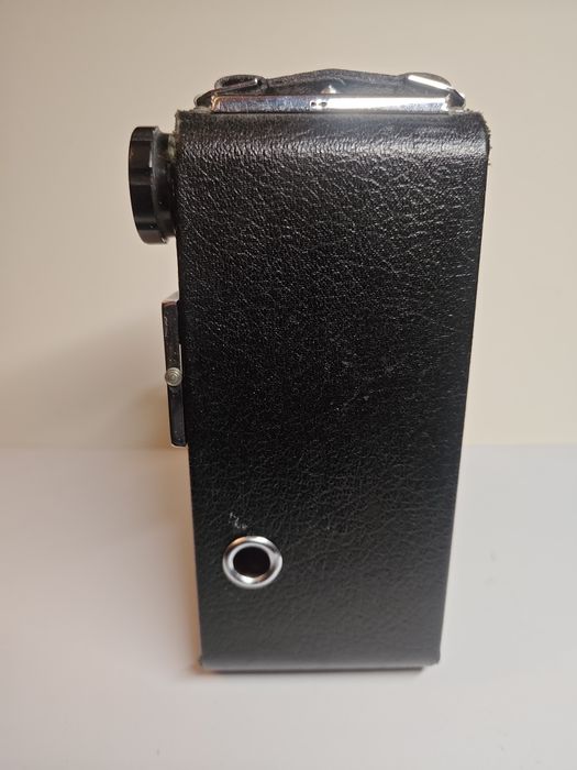 Vand aparat foto Kershaw Eight-20 King Penguin