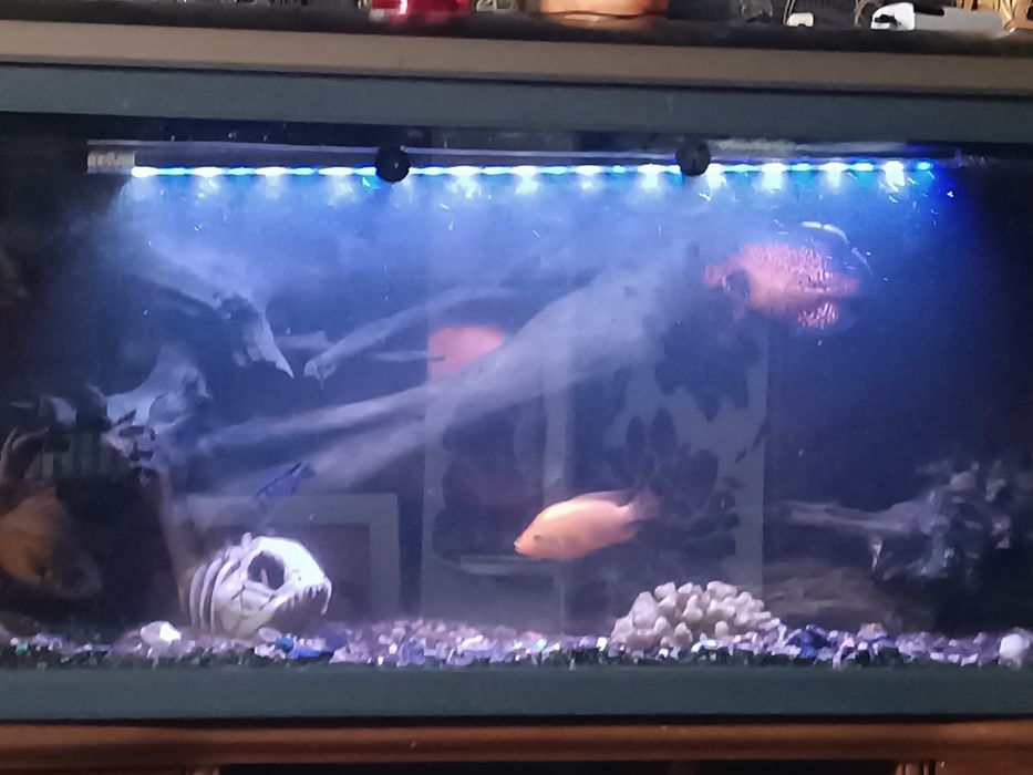 Аквариум  Jebo 300 литров