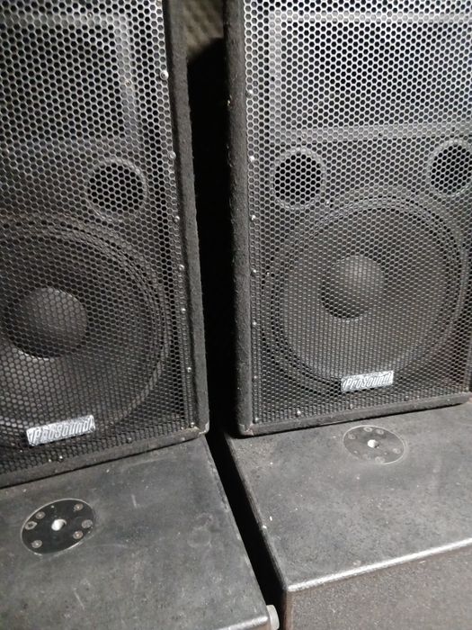 Vand boxe Prosound 15 țoli 400 rms