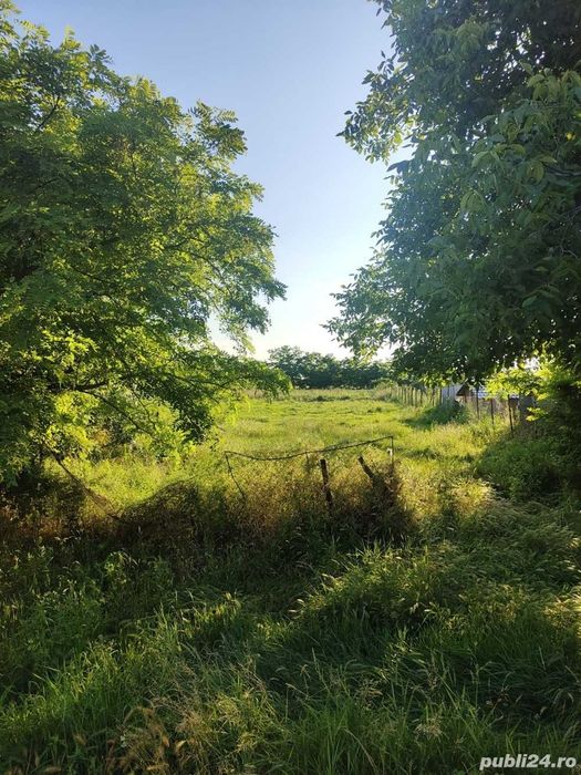 Teren în vatra satului Bazos !!!