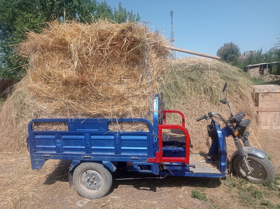 скутер 2023 М8 про.Трицикл саьылады