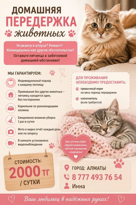 Домашняя передержка животных