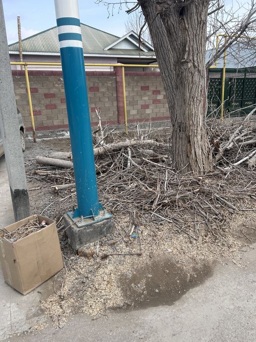 Дрова бесплатно самовывоз