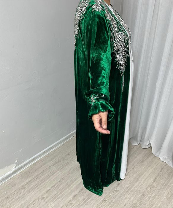 Көлек тылқы жаңа күйде