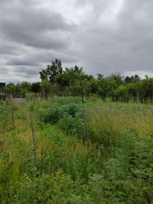 Продам дачу 6 соток