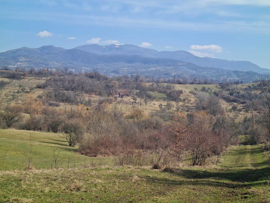 Teren pt cabana , picnic , relaxare , liniste , natura .