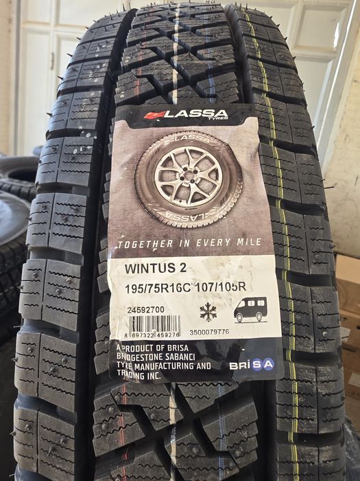 Ласса газель зимный