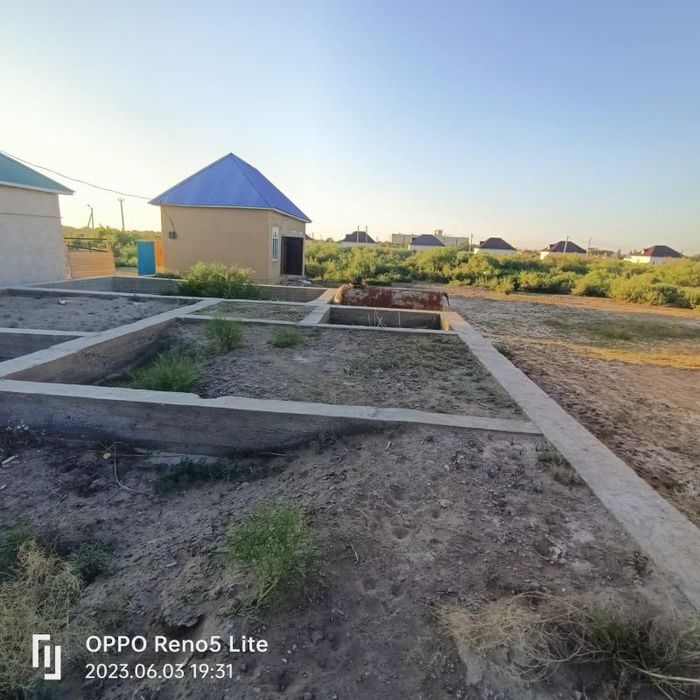 Жайылған кисканың жақыннан түсірілген фотосы