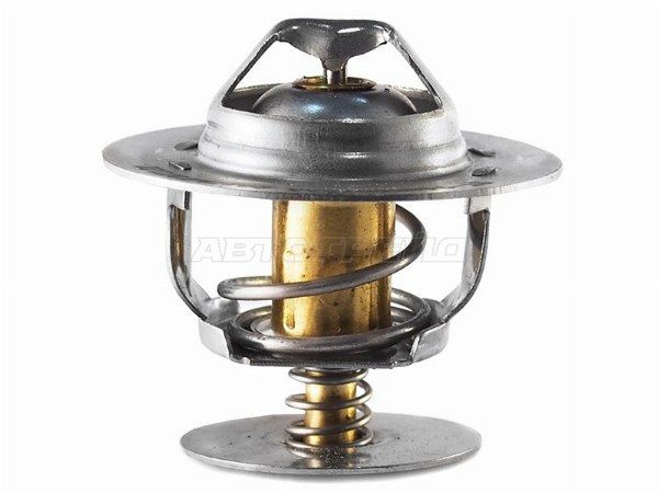 Термостат Ford Fiesta