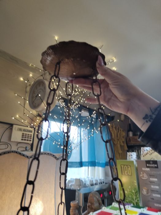 Стар меден полилей...