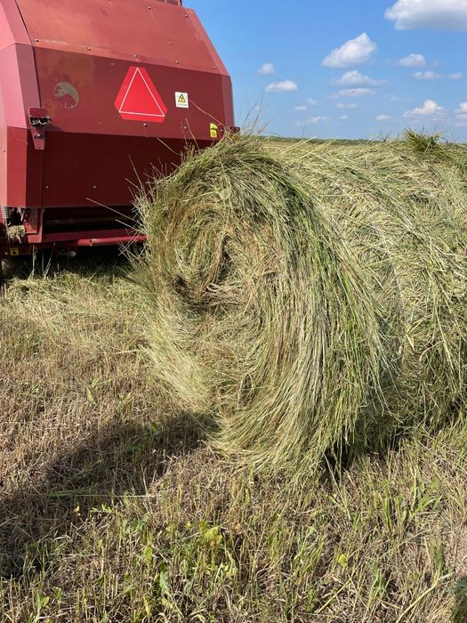 Продам сено с доставкой