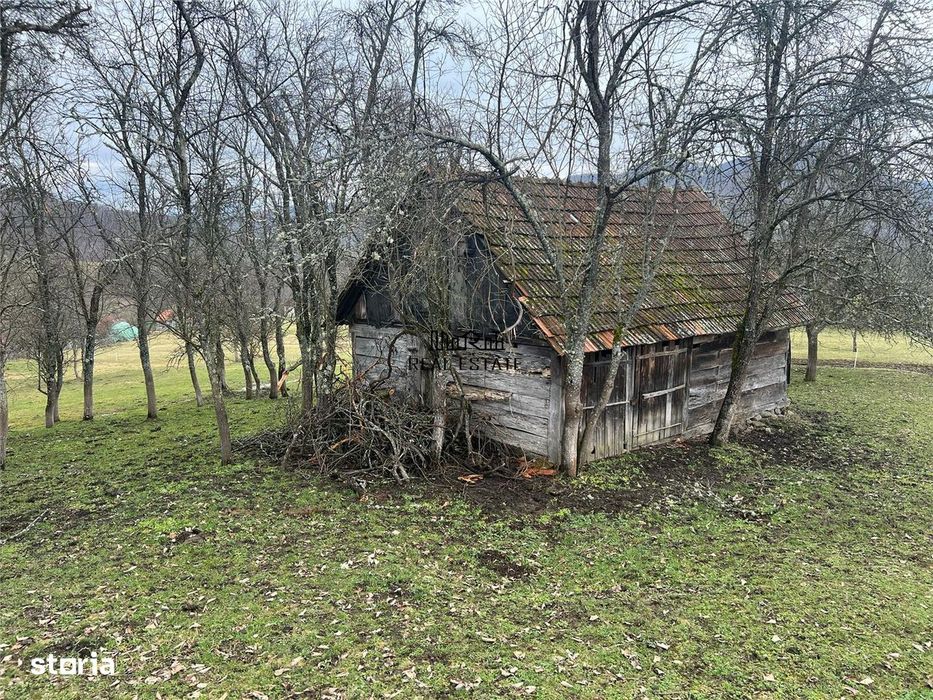 Teren intravilan si extravilan Luncoiu de Jos