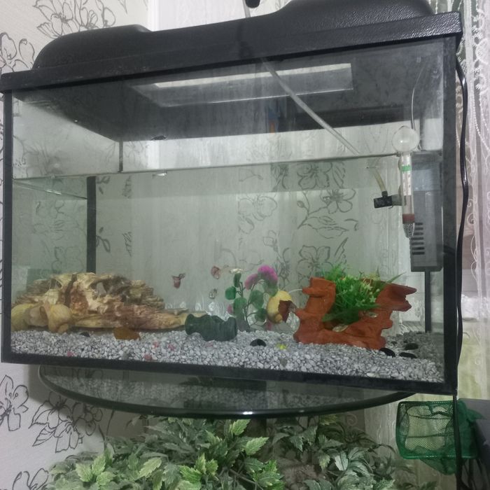 Продам аквариум и сачек.