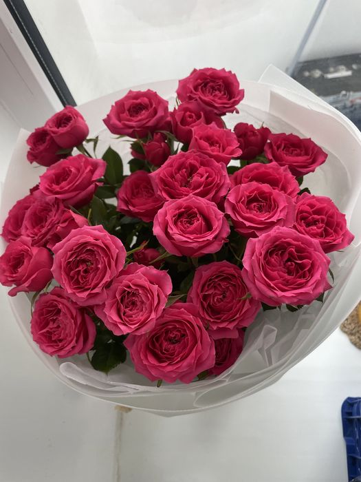 Цветы свежие,очень красивые