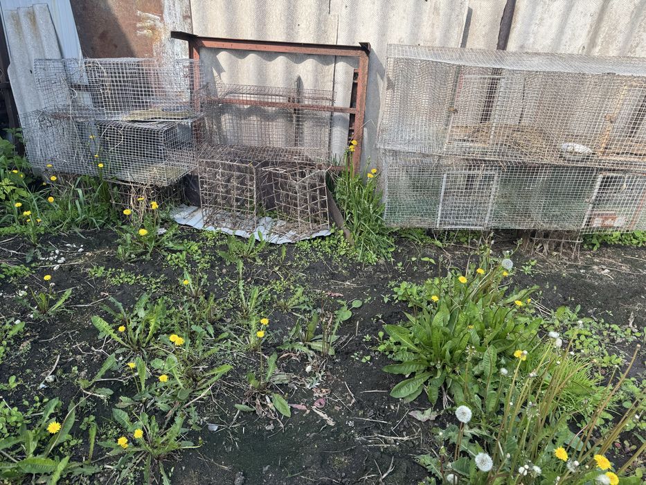 Клетки для кроликов