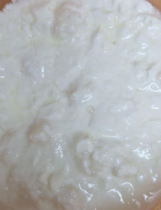 Ciupercă tibetană (granule de chefir) Cluj-Napoca