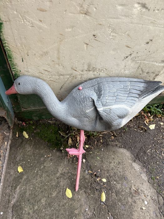 Гусиные профеля разные