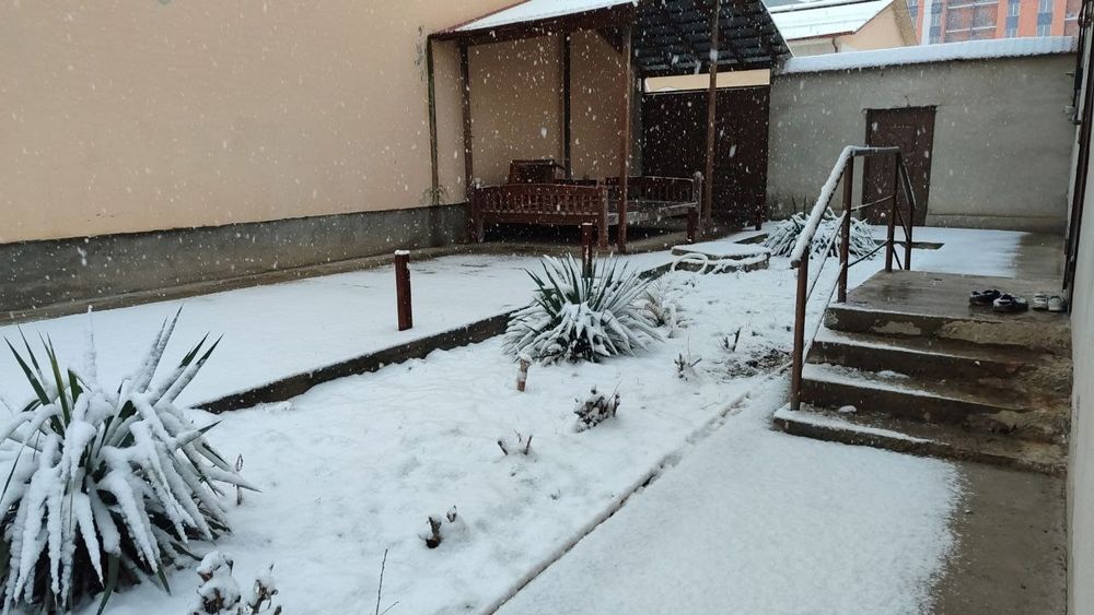 Бектемир 6 сотих  210 000